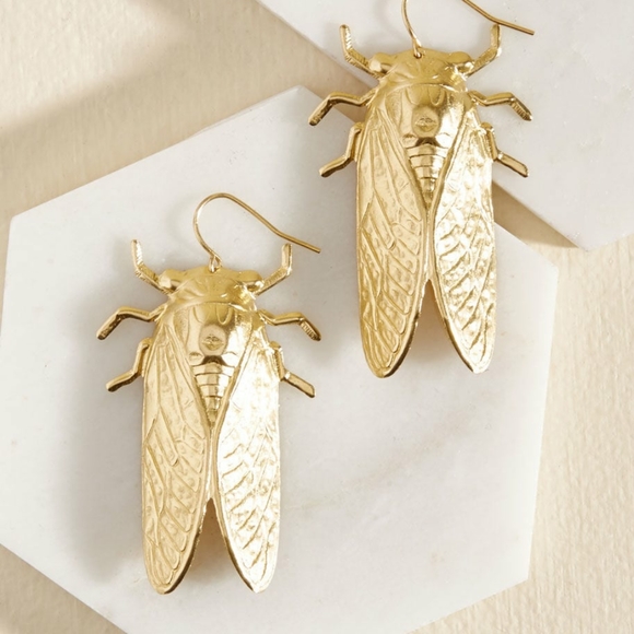 Anthropologie Jewelry - New! Anthro Earrings
